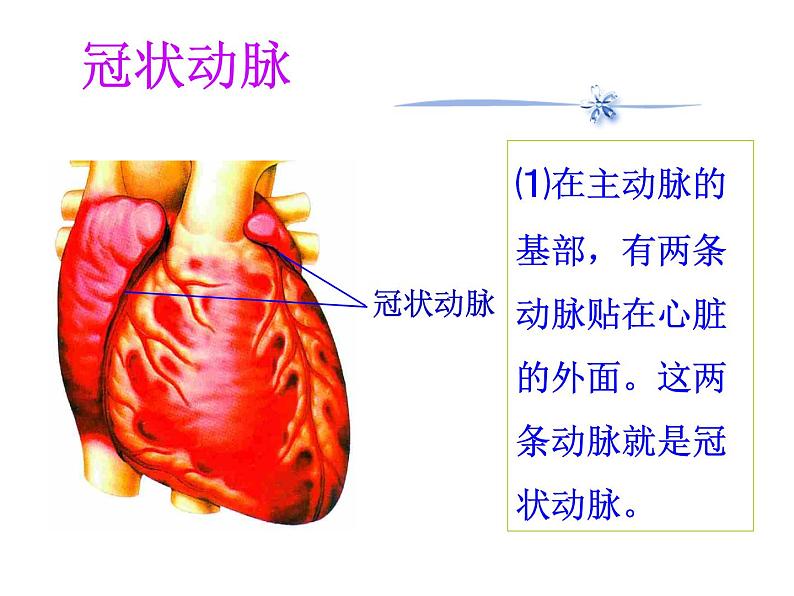 苏教版八年级下册生物  25.2威胁健康的主要疾病 课件第7页