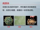 苏科版八年级下册生物24.1人体的免疫防线 课件