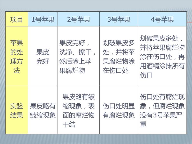 苏科版八年级下册生物24.1人体的免疫防线 课件第5页