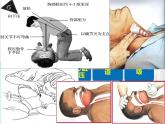 苏科版八年级下册生物25.2关注家庭生活安全 课件