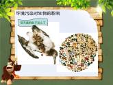 苏科版八年级下册生物26.1人口增长对生态环境的影响 课件
