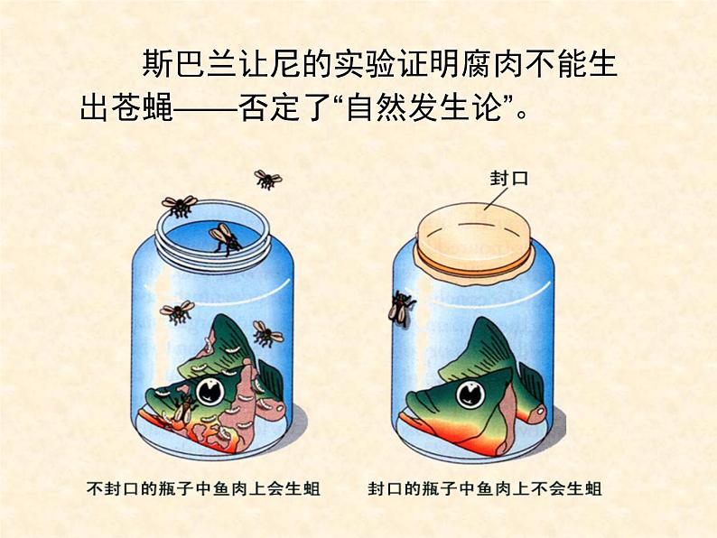 苏科版八年级下册生物23.1生命的起源 课件08