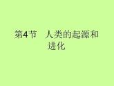 苏科版八年级下册生物23.4人类的起源和进化 课件