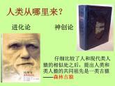 苏科版八年级下册生物23.4人类的起源和进化 课件