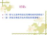 苏科版八年级下册生物22.1生物的遗传 课件