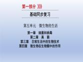 第五单元微生物的生活第一、二、三、四章细菌和病毒真菌课件2021年广西中考生物基础复习