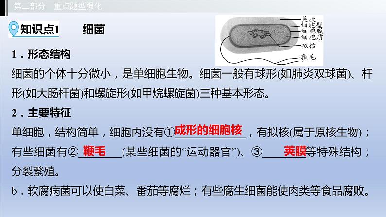 第五单元微生物的生活第一、二、三、四章细菌和病毒真菌课件2021年广西中考生物基础复习第3页