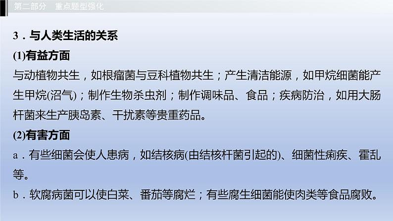 第五单元微生物的生活第一、二、三、四章细菌和病毒真菌课件2021年广西中考生物基础复习第4页