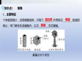 第五单元微生物的生活第一、二、三、四章细菌和病毒真菌课件2021年广西中考生物基础复习