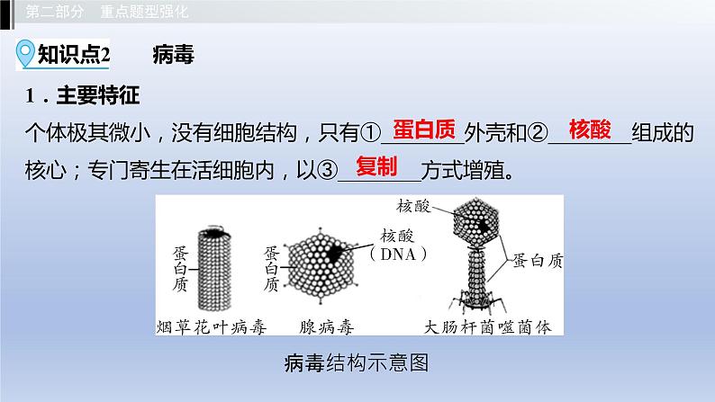 第五单元微生物的生活第一、二、三、四章细菌和病毒真菌课件2021年广西中考生物基础复习第5页