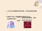 北师大版七下生物 9.1血液 课件