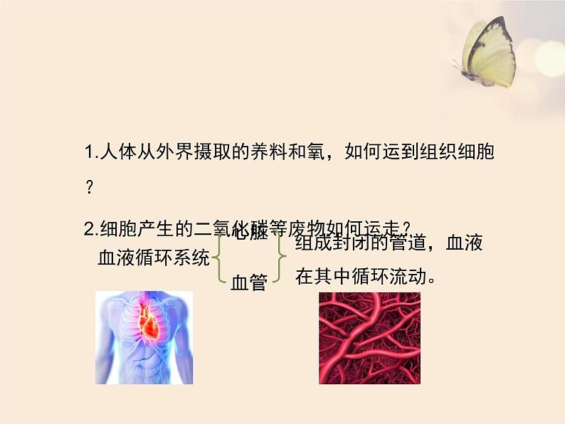 北师大版七下生物 9.1血液 课件02