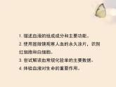 北师大版七下生物 9.1血液 课件