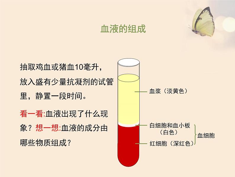 北师大版七下生物 9.1血液 课件04