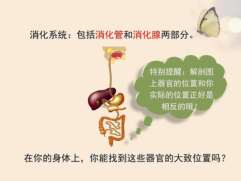 北师大版七下生物 8.2食物的消化和营养物质的吸收 课件第5页