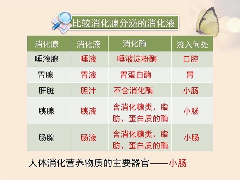 北师大版七下生物 8.2食物的消化和营养物质的吸收 课件第7页