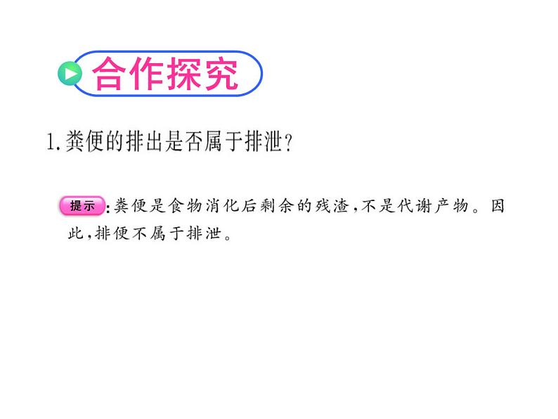 北师大版七下生物 11.1人体产生的代谢废物 课件第8页