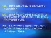 北师大版七下生物 10.1食物中能量的释放 课件