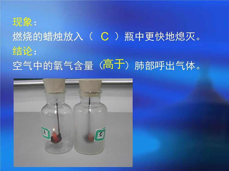 北师大版七下生物 10.1食物中能量的释放 课件07