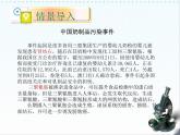 北师大版七下生物 11.2尿的形成与排出 课件