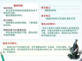 北师大版七下生物 11.2尿的形成与排出 课件