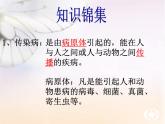 北师大版七下生物 13.2预防传染病 课件