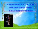 北师大版七下生物 9.2血液循环 课件
