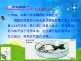 北师大版七下生物 9.2血液循环 课件