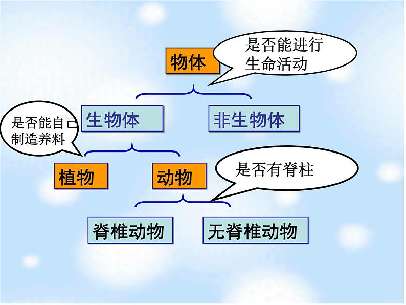 北师大版八下生物 22.4动物的主要类群 课件第8页