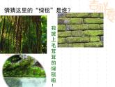 北师大版八下生物 22.3植物的主要类群 课件