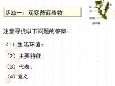 北师大版八下生物 22.3植物的主要类群 课件