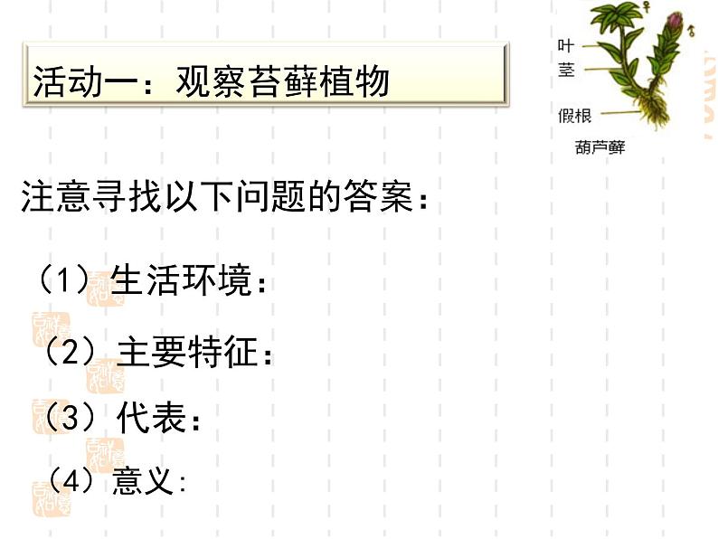 北师大版八下生物 22.3植物的主要类群 课件04