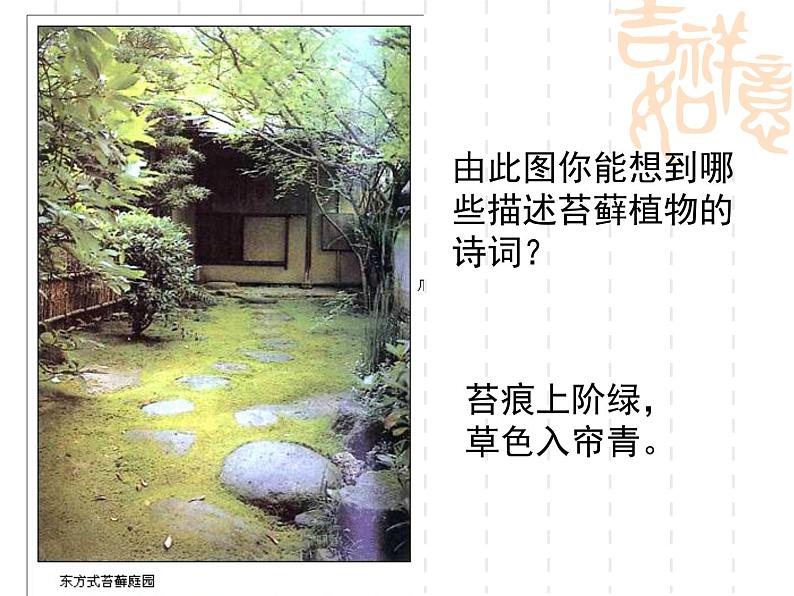 北师大版八下生物 22.3植物的主要类群 课件08