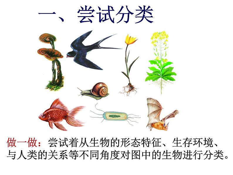 北师大版八下生物 22.1生物的分类 课件08