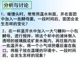 北师大版八下生物 25.1发酵技术 课件