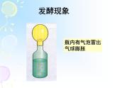 北师大版八下生物 25.1发酵技术 课件