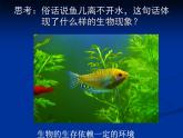 北师大版八下生物 23.1生物的生存依赖一定的环境 课件