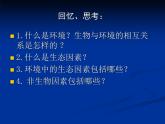 北师大版八下生物 23.1生物的生存依赖一定的环境 课件