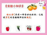济南版七下生物 1.1食物的营养成分 课件