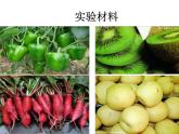 济南版七下生物 1.1食物的营养成分 课件