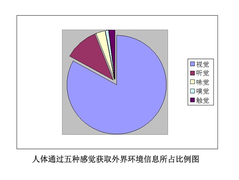 济南版七下生物 5.4人体对周围世界的感知 课件第3页