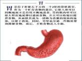 济南版七下生物 1.2消化和吸收 课件