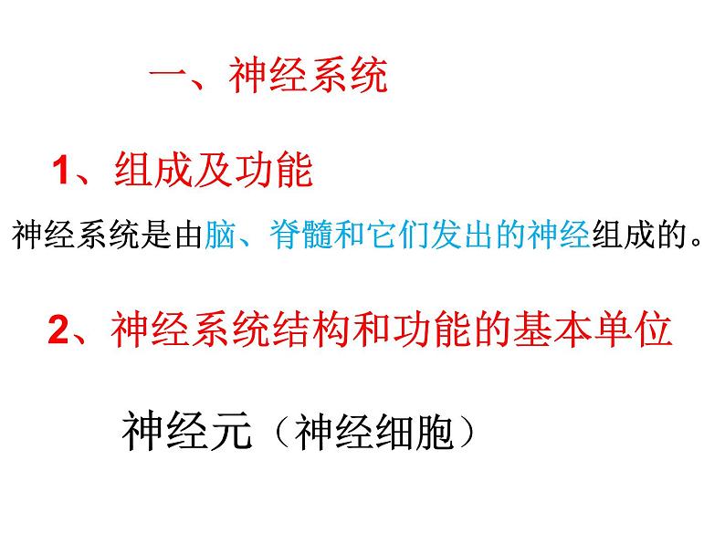 济南版七下生物 5.2神经调节的结构基础  课件第5页