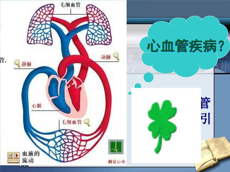 济南版七下生物 3.4关注心血管健康  课件03