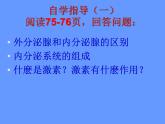 济南版七下生物 5.1人体的激素调节 课件