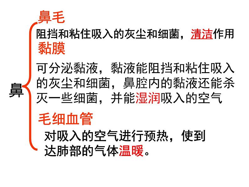 济南版七下生物 2.1人体与外界的气体交换 课件第8页