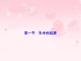 济南版八下生物  5.1.1生命的起源  课件
