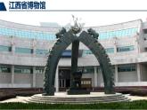 济南版八下生物  5.1.3生物进化的历程  课件