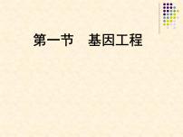 济南版八年级下册第七单元 生物技术第二章 现代生物技术第一节 基因工程课堂教学课件ppt