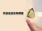 济南版八下生物  6.1.1环境对生物的作用  课件